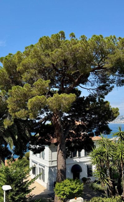 Newly renovated 3-room apartment with fitted kitchen and sea view in Nice