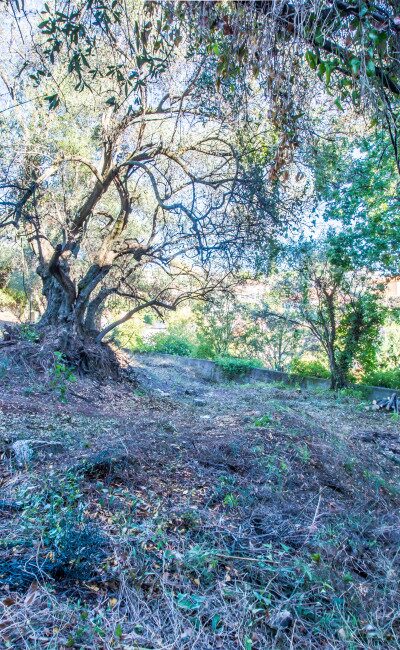 Land for sale in Nice Impasse Scudéri