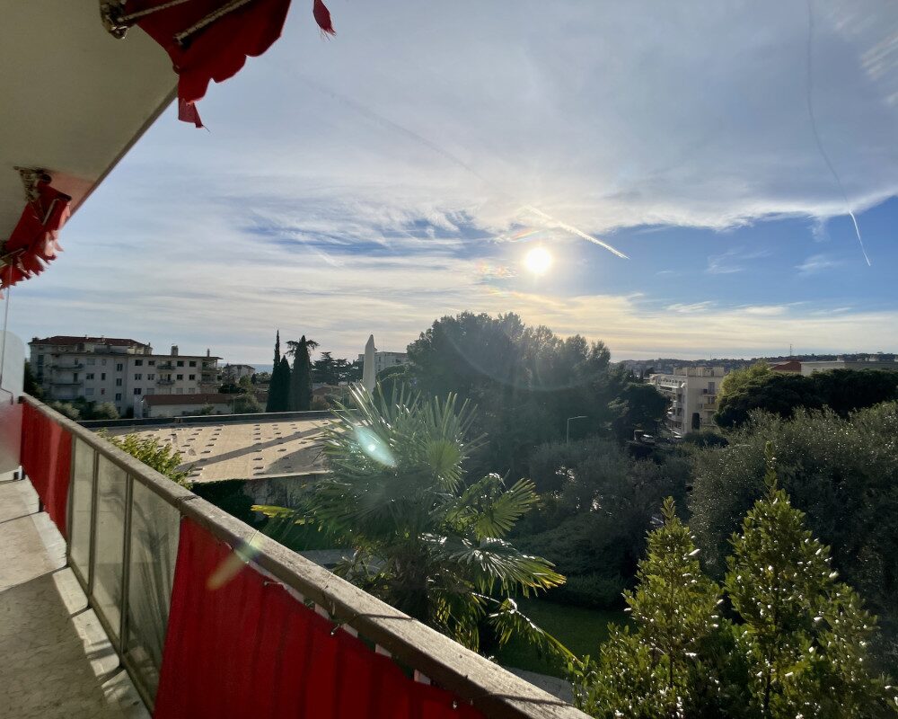 Nice cimiez - Your sun-drenched one bedroom apartment !