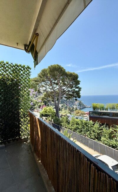 Panorama mare con pini e palme da un appartamento al Mont Boron