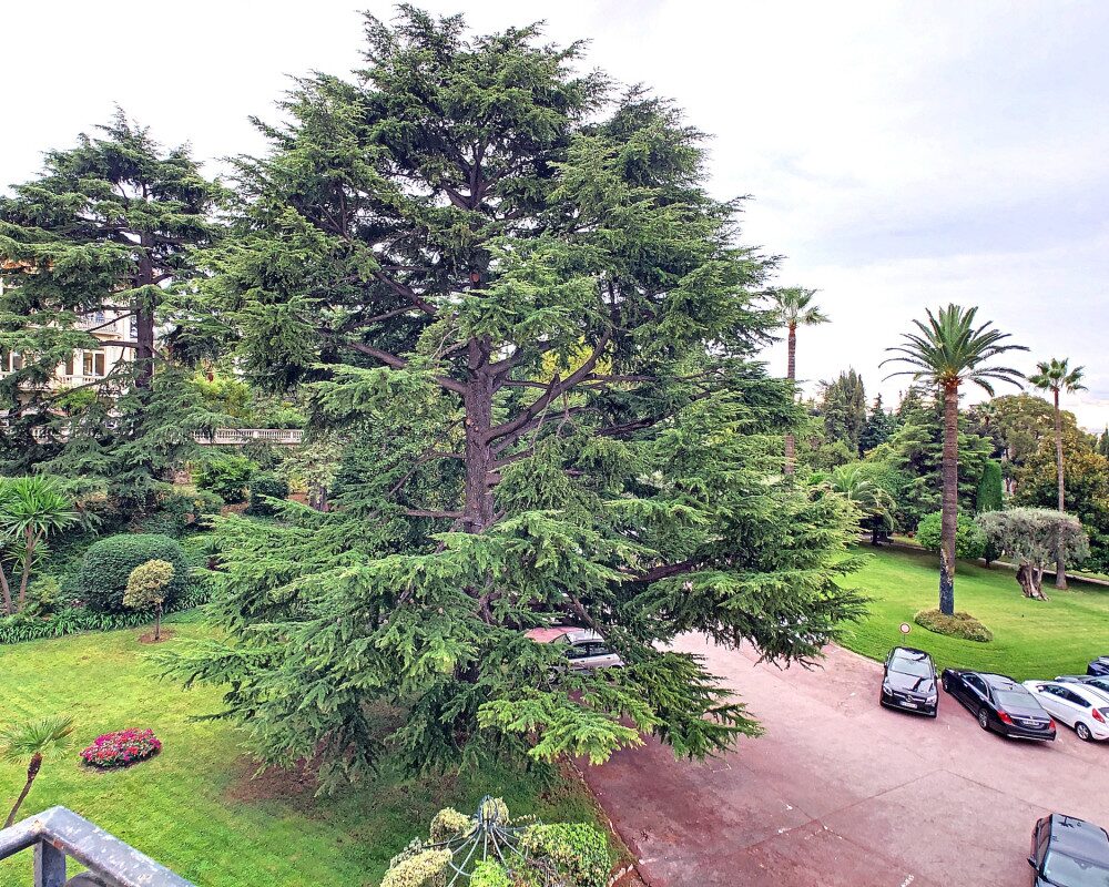 Studette 14.37 m² dans l'annexe d'un superbe Palace au coeur de Cimiez              