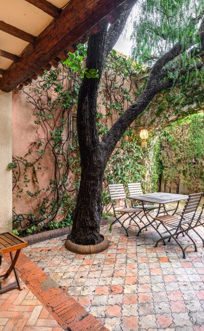 Patio d'entrée ombragé sous un faux-poivrier, ambiance méditerranéenne à Cimiez